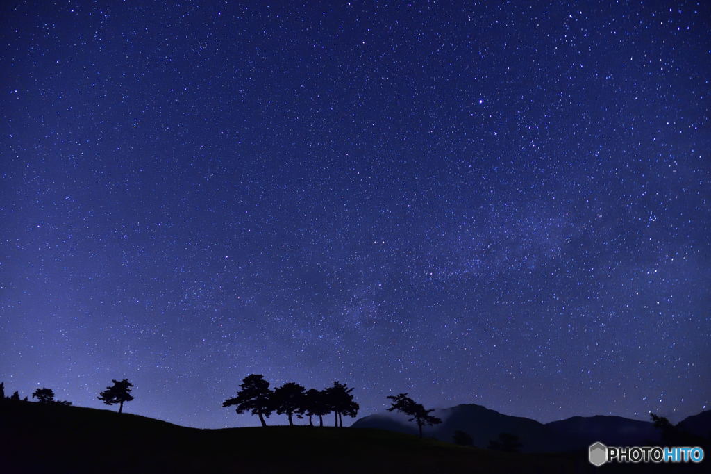 星降る夜に・・・。