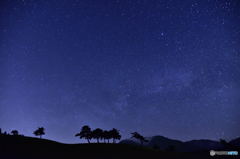 星降る夜に・・・。