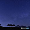 星降る夜に・・・。