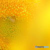 The world of yellow
