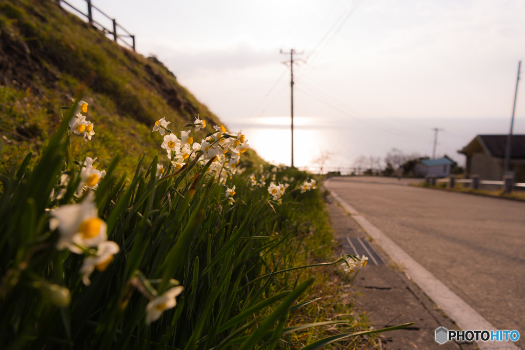 あの日の帰り道