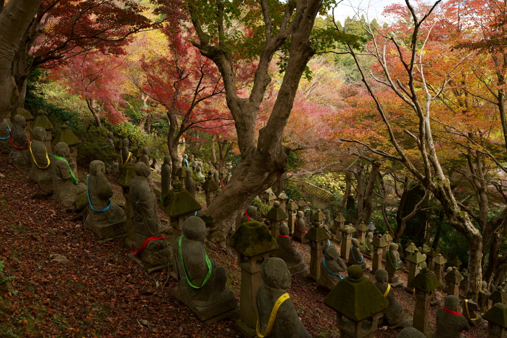 五百羅漢の紅葉