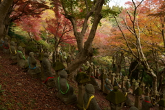 五百羅漢の紅葉