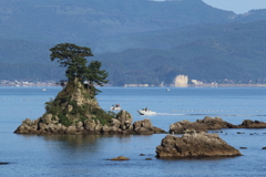 穏やかな朝の風景