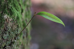 季節の始まり