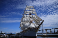 今日の帆船海王丸