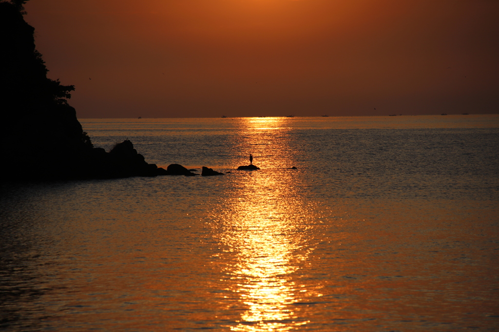 今朝の海