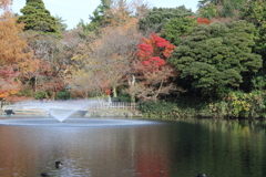 高岡古城公園