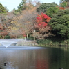 高岡古城公園