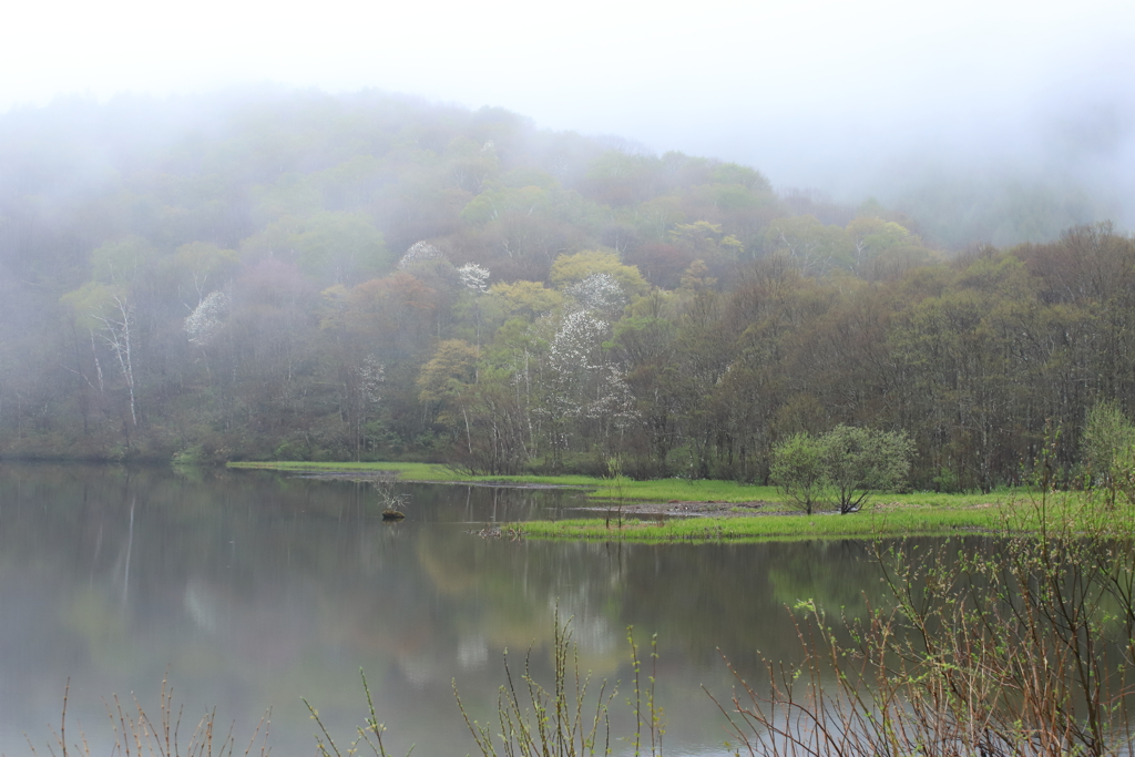 雨の風景