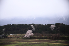 今日の風景