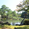 兼六園のススキと松
