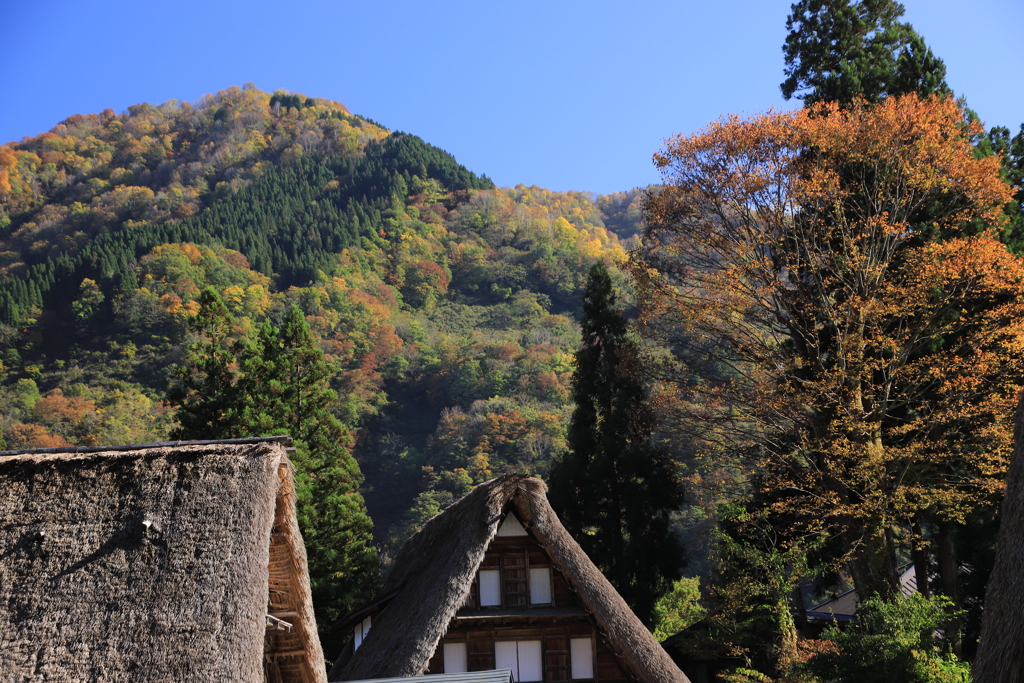 秋の風景