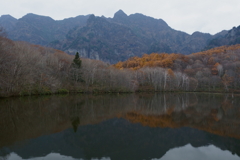 今日の風景