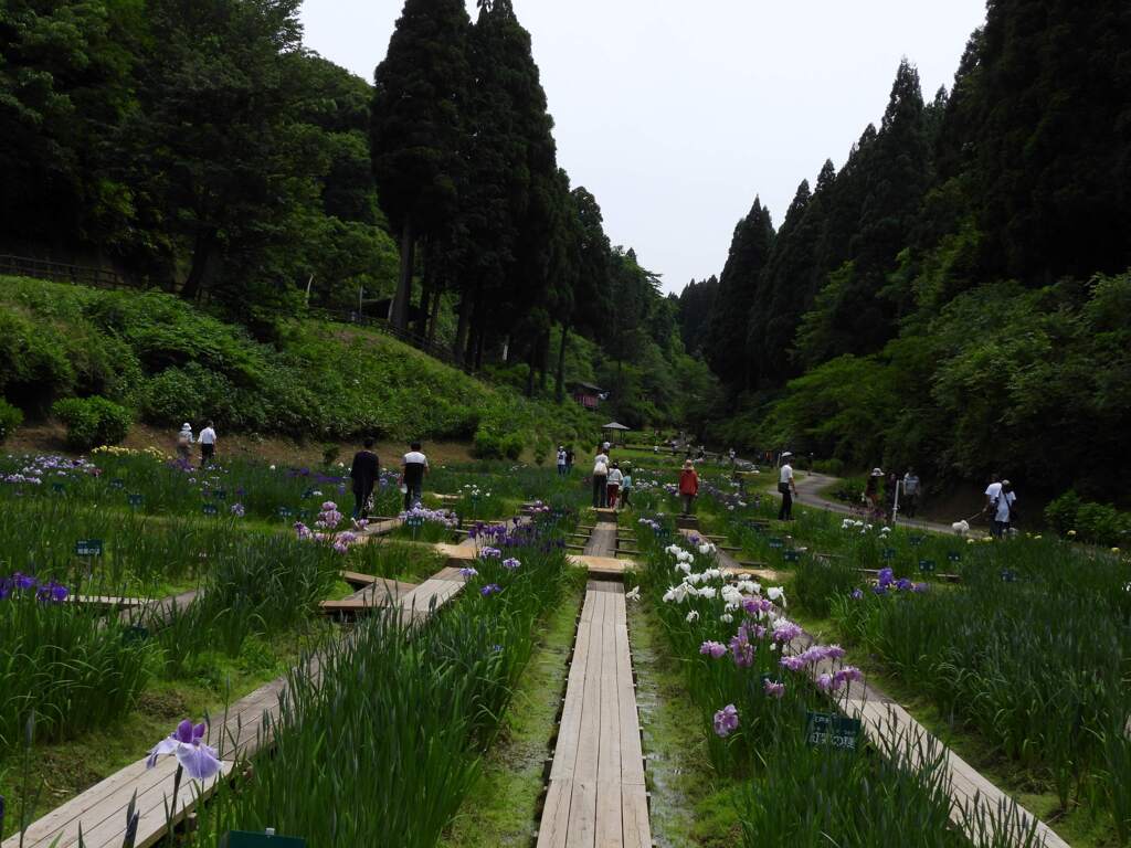 頼成の森