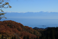 今日の風景