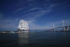 帆船海王丸と新湊大橋