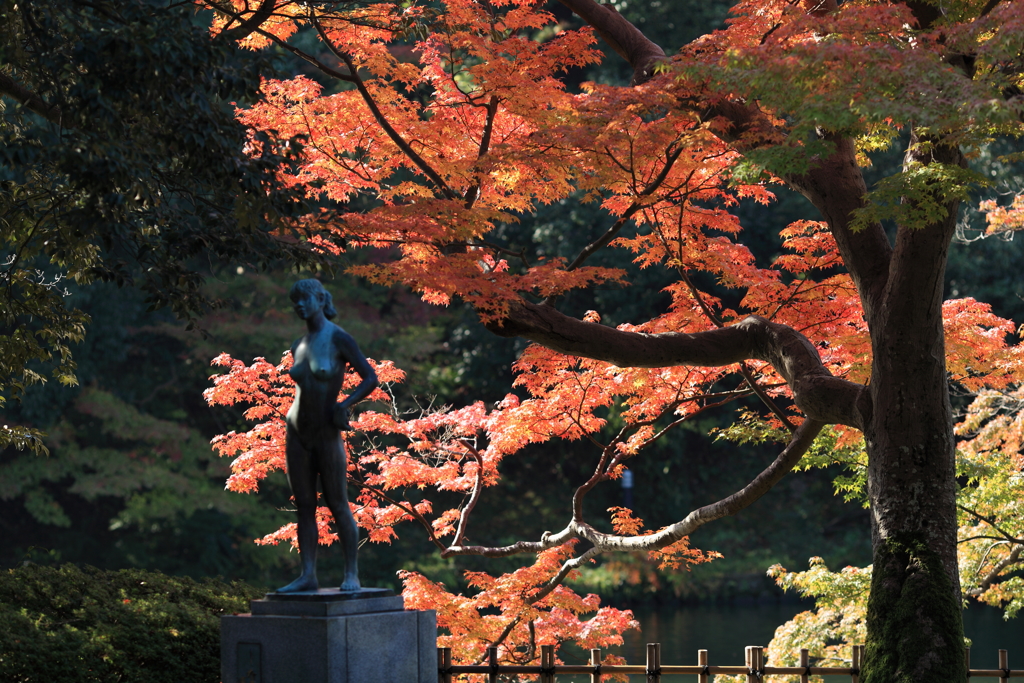 公園のモデル