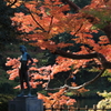 公園のモデル