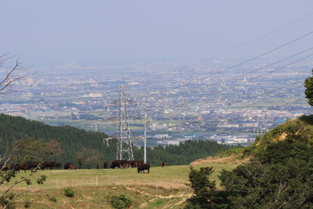 稲葉山牧場から