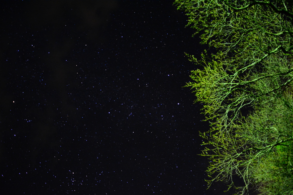 ３月の星空