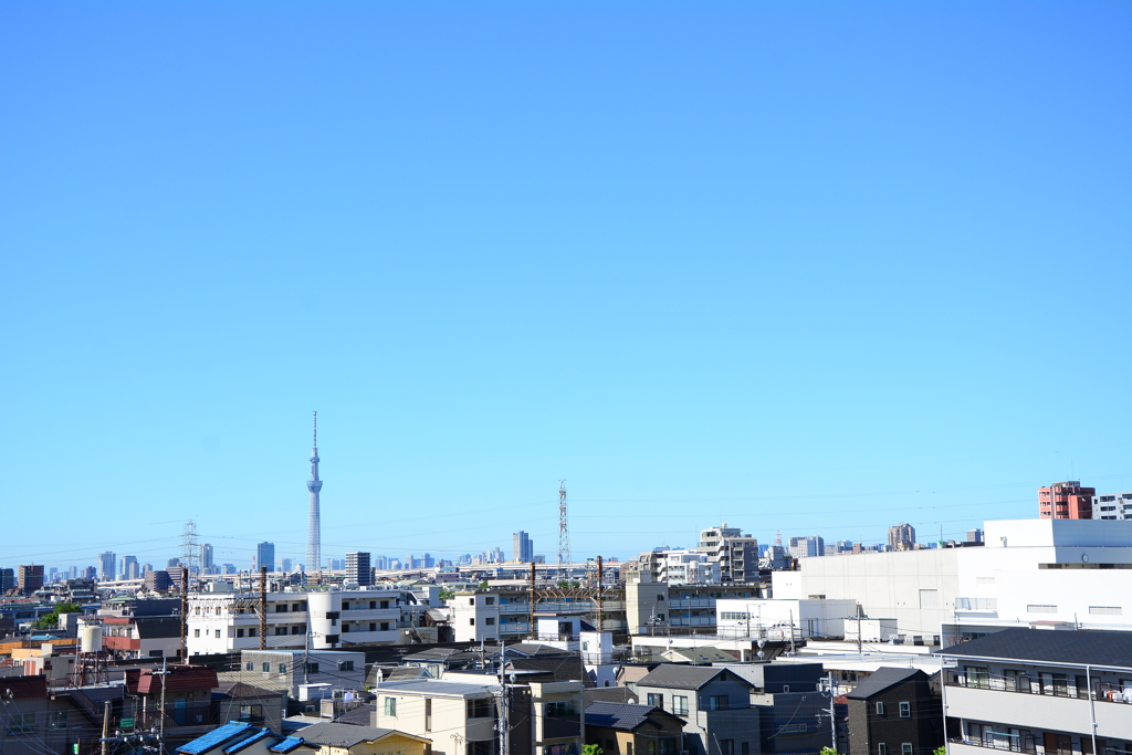 今朝の天気