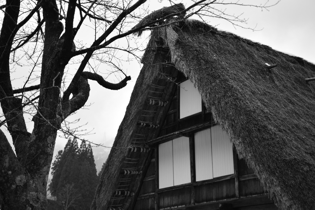 合掌造りと冬