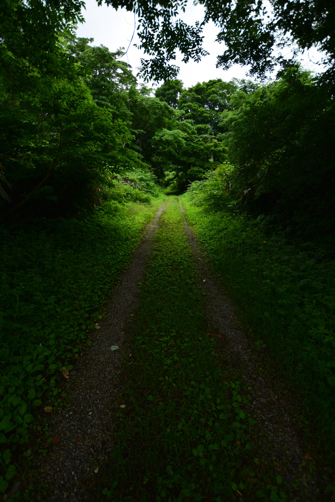 管理用道路