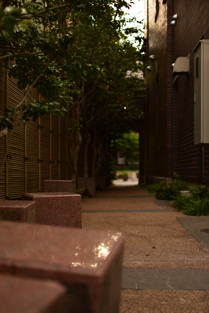 おしゃれな路地