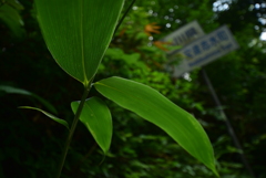 峠の県境