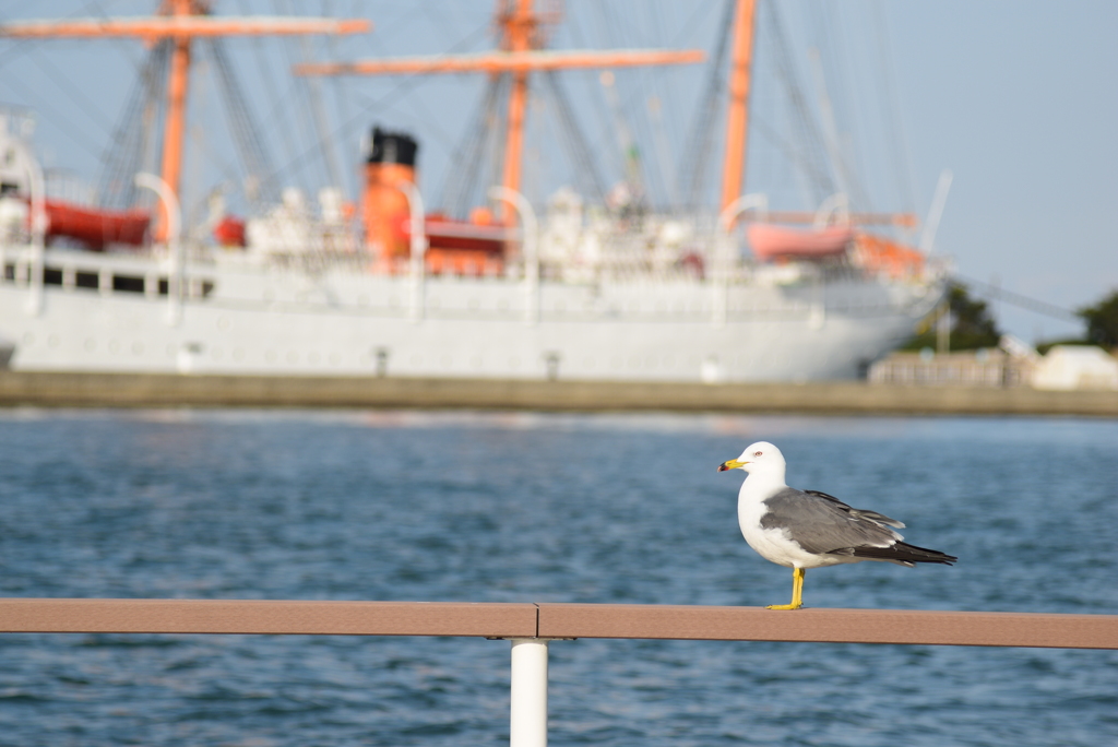 海浜公園