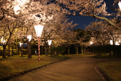 湊山公園桜まつり