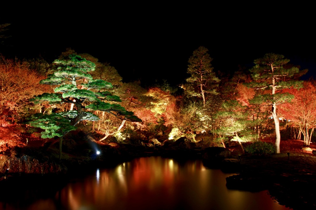 紅葉のライトアップ