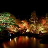 紅葉のライトアップ