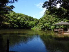 街中にあるとは思えない