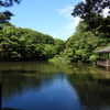 街中にあるとは思えない