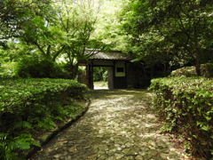 散策の途中にあった門