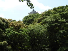 浜松城天守閣