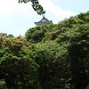 浜松城天守閣