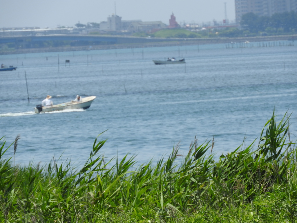 初夏の海