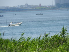 初夏の海