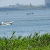初夏の海