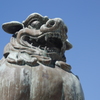 炎天下の狛犬　