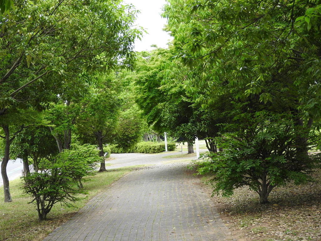 近所の公園