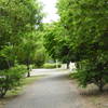 近所の公園