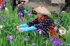 花摘み娘