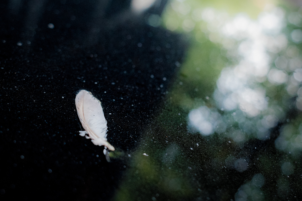 plume