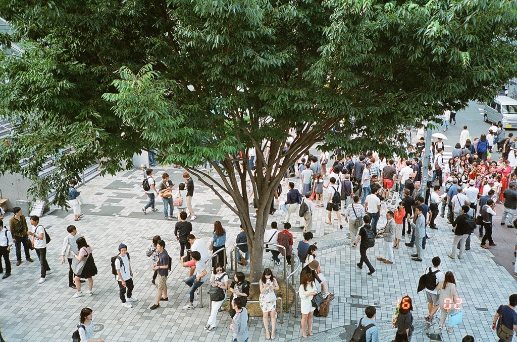 新宿の木