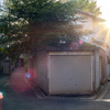 荒木町　201610