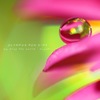drop*